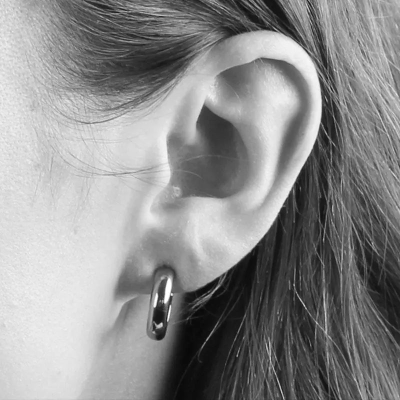 Ellen Shiny Silver Earrings - Dyrberg/Kern NZ