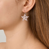 Libra Shiny Silver Earrings - Vintage Rose