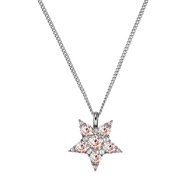 Lyra Shiny Silver Necklace - Vintage Rose