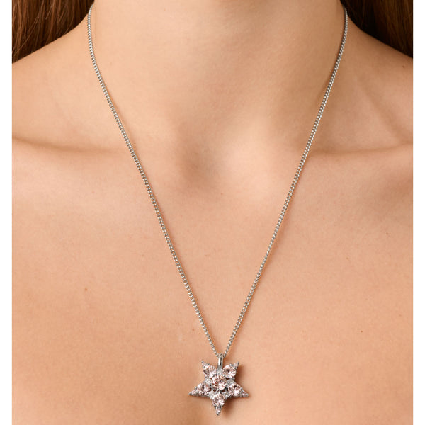 Lyra Shiny Silver Necklace - Vintage Rose