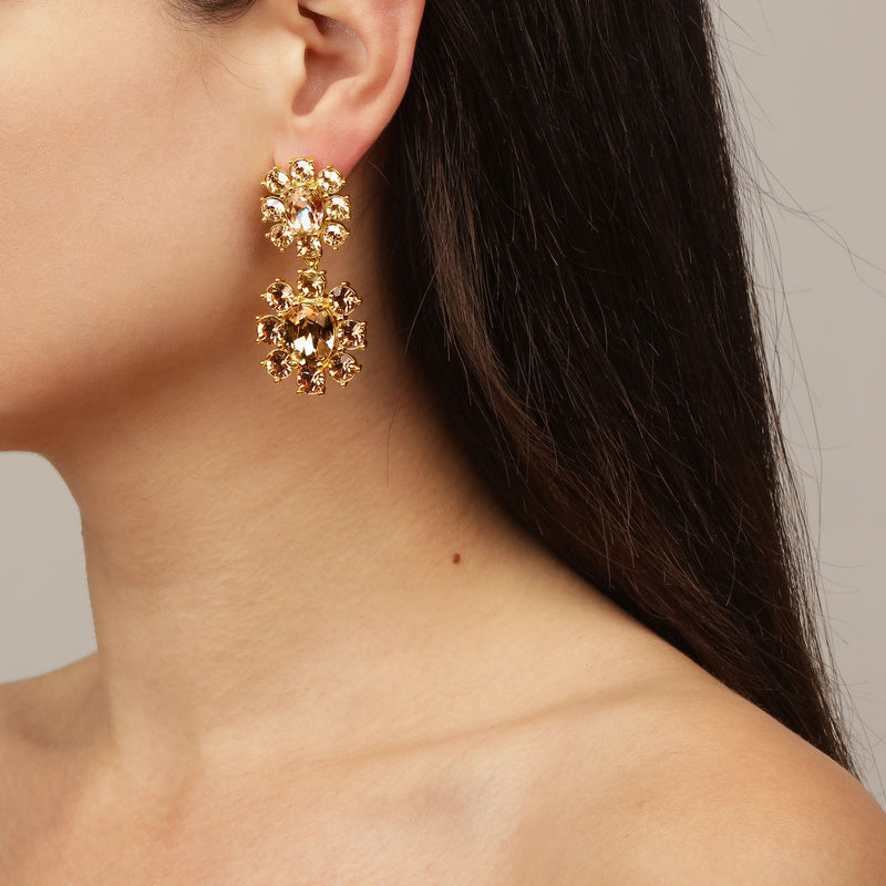 Lina Gold Earrings - Brown /Golden