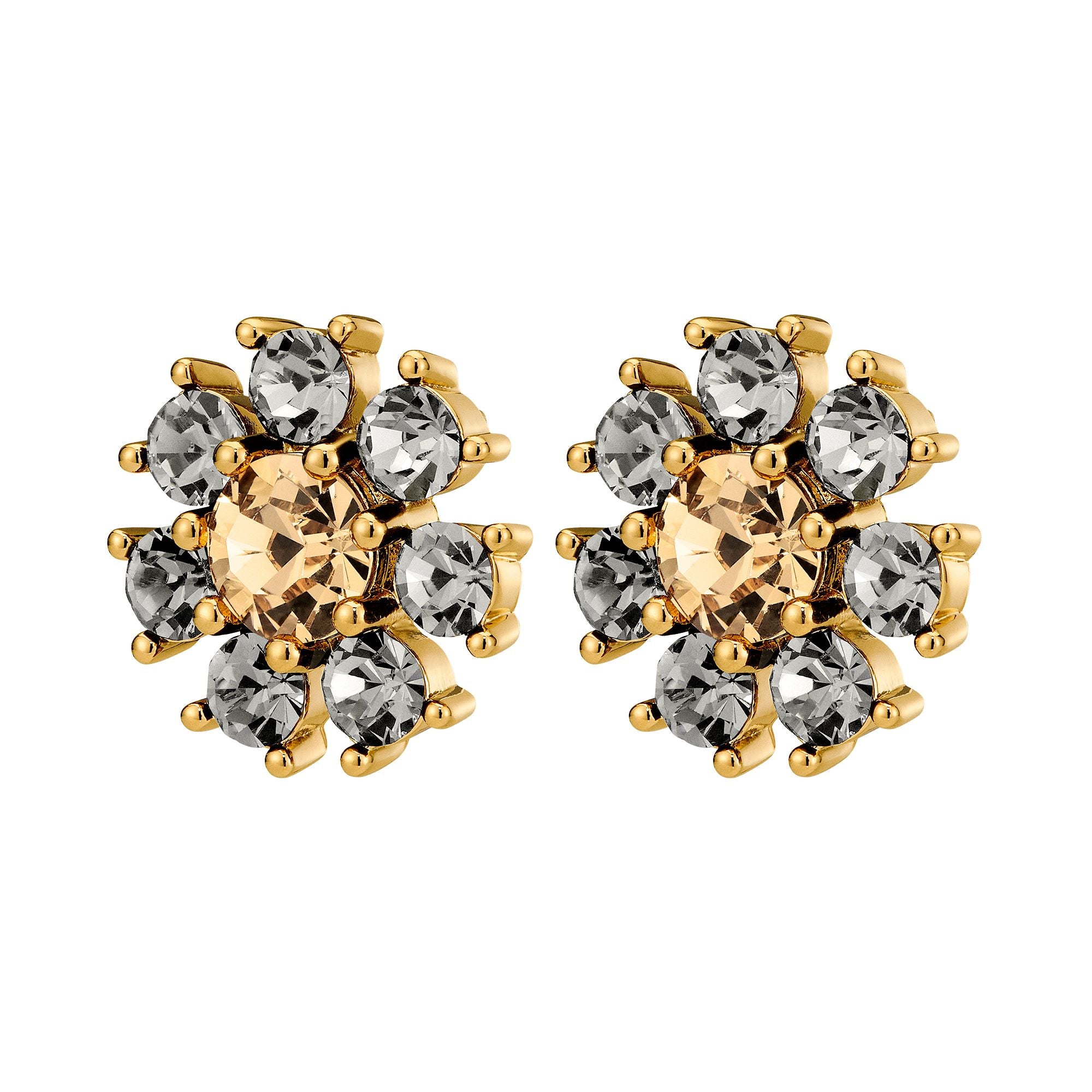 Aude Gold Earrings - Grey /Golden