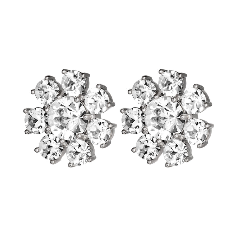 Aubra Shiny Silver Earrings - Crystal