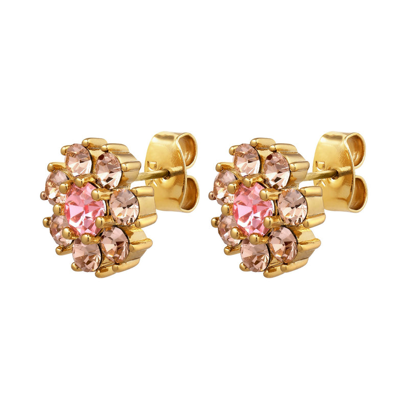 Carnea Gold Earrings - Light Rose / Peach