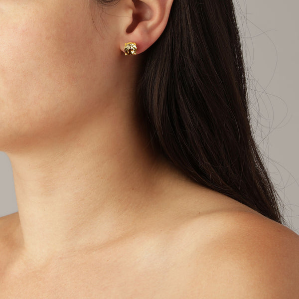 Daze Gold Earrings - Golden