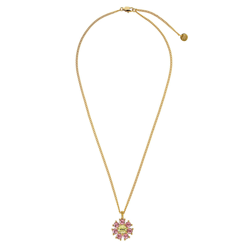 Delise Gold Necklace - Yellow / Rose
