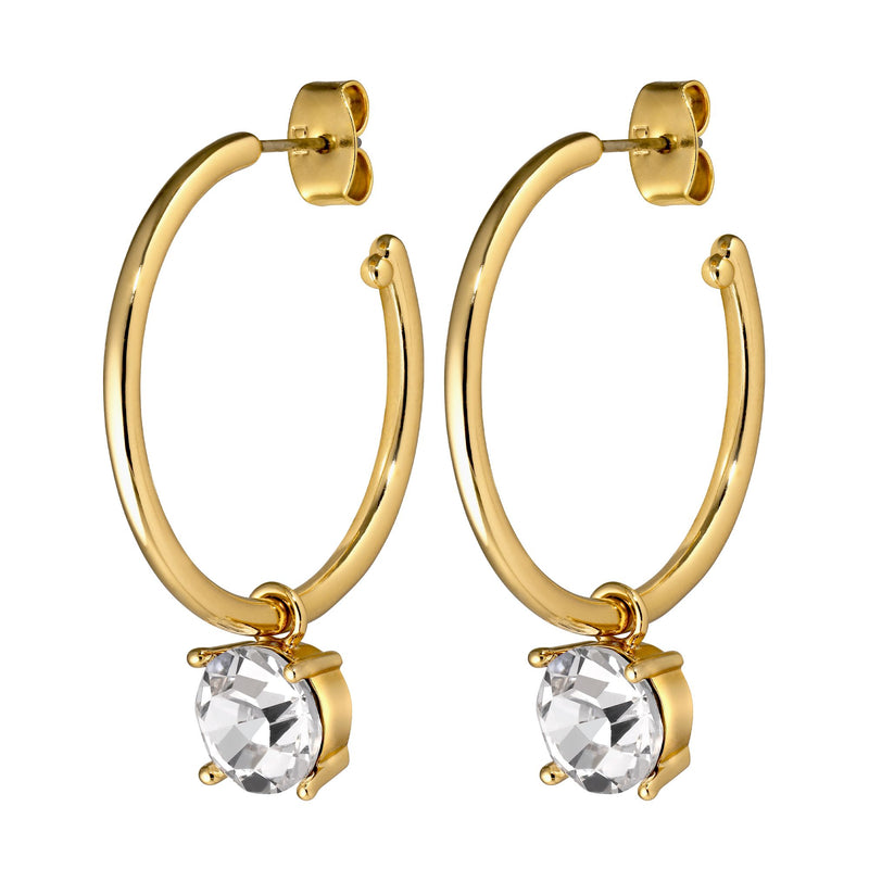 Diega Gold Earrings - Crystal