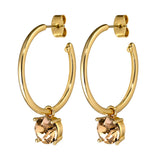 Diega Gold Earrings - Golden