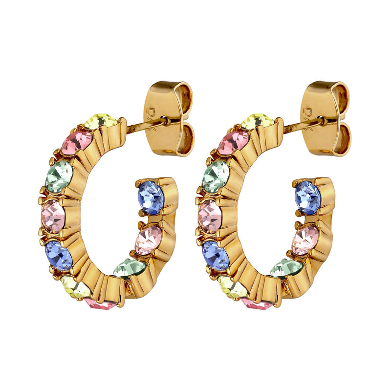 Raquel Gold Earrings - Pastel Multi