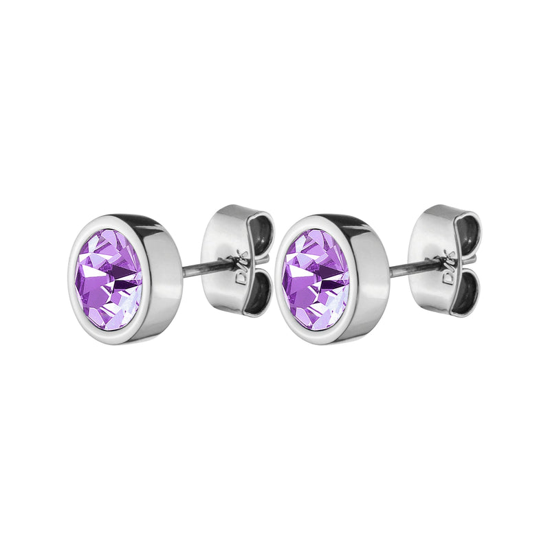 Noble Shiny Silver Earrings - Violet