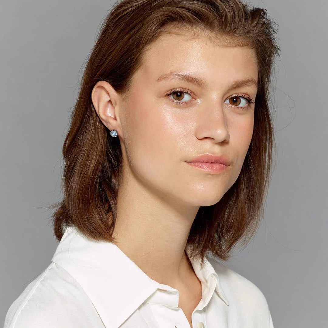 Nobles Shiny Silver Earrings - Crystal
